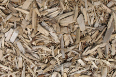 biomass boilers Tolleshunt Major